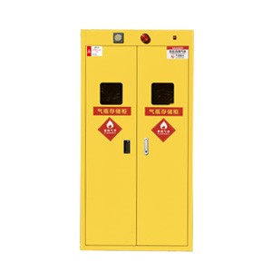 气瓶柜（单瓶/双瓶/三瓶）