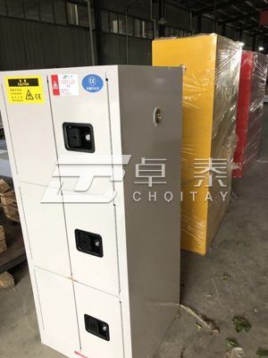 内蒙某电力企业定制非标PP酸碱柜及易制毒储存柜(图1)