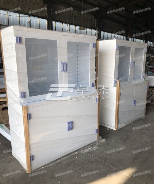 南京某国企非标定制PP酸碱试剂柜(图1)